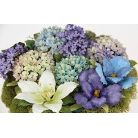 PanPastel, Susans Garden II, Blomster, 7 farver og værktøj